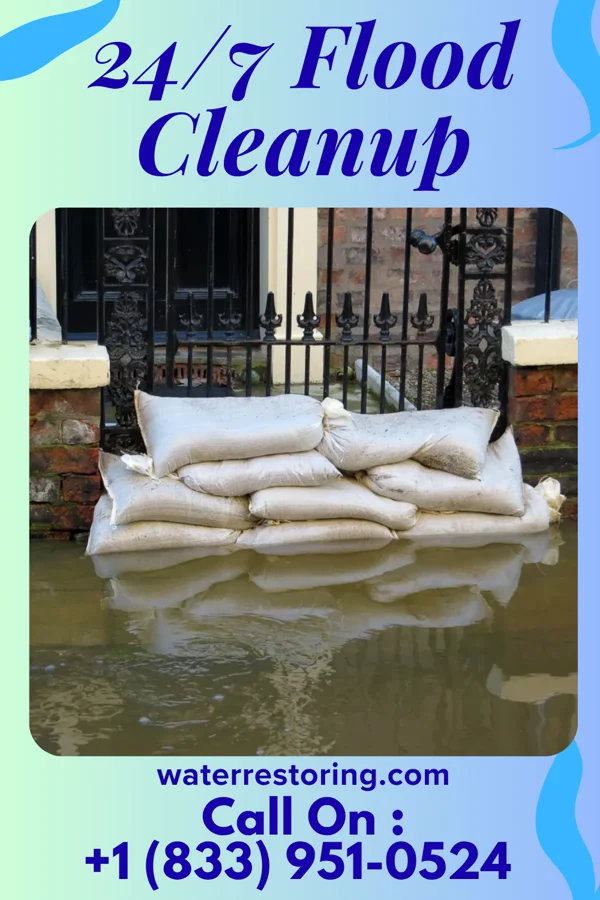 24/7 Flood Cleanup in Thomasville, NC