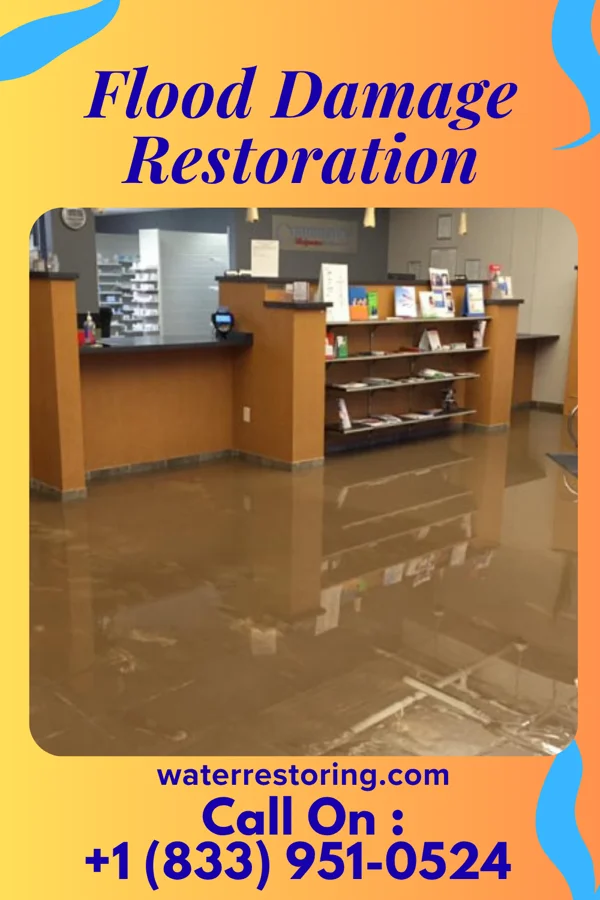Flood Damage Restoration in Thomasville, NC
