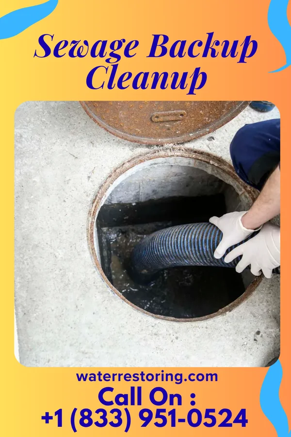 Sewage Backup Cleanup in Thomasville, NC