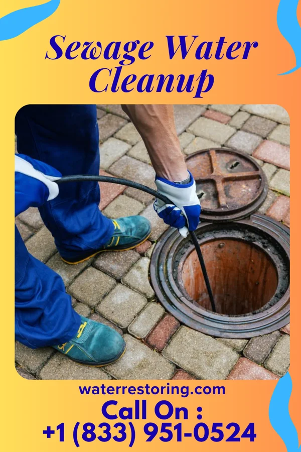 Sewage Water Cleanup in Thomasville, NC