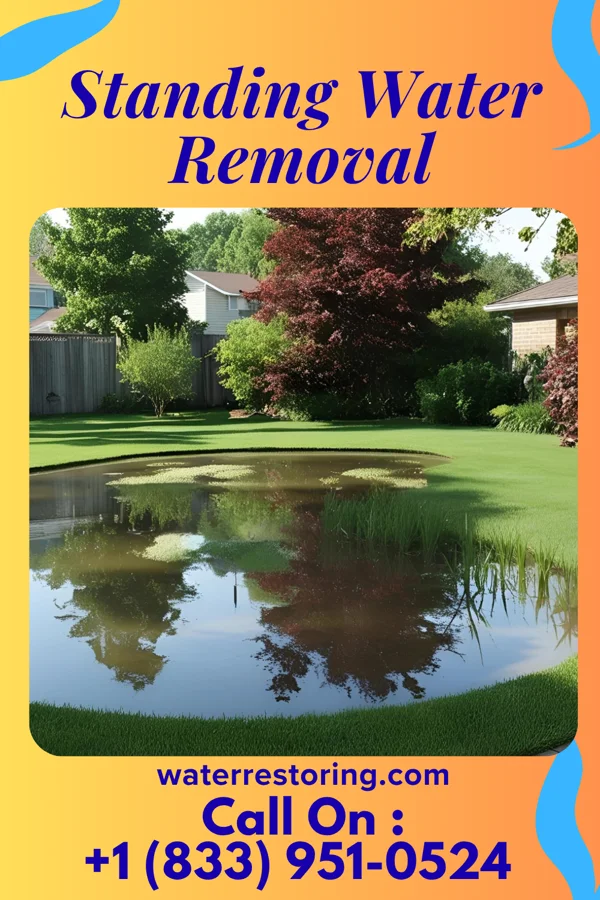 Standing Water Removal in Thomasville, NC